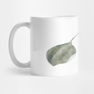 Southern Stingray Mug